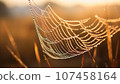 Spider web with dew drops at sunrise. Beautiful natural background. 107458164