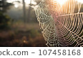 Spider web with dew drops in morning light. Nature background. 107458168