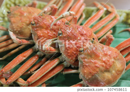 Grilled Matsuba Crab 107458611