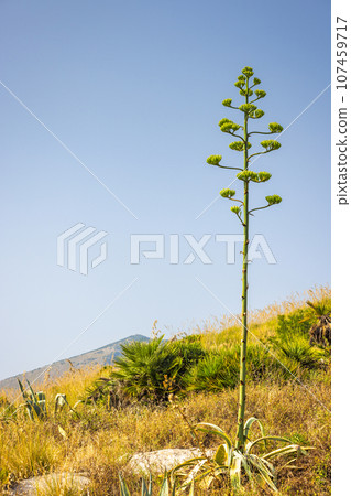 Sicily, a view of the mountainous landscape inland. Sicily, a view of the mountainous landscape inland. 107459717