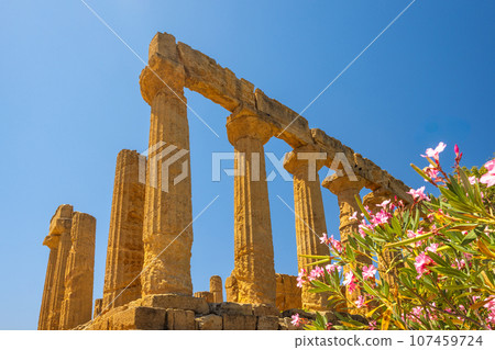 Temple of Juno in Valley of the Temples. Archaeological site. Temple of Juno in Valley of the Temples. Archaeological site. 107459724