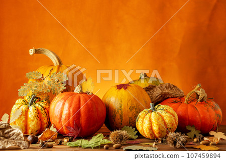 Colorful display of pumpkins, autumn leaves sitting in a row on woodentable, orange background 107459894