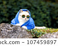 Portrait of a big cat with glasses and a blue hoodie, an animal outdoors 107459897