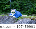 Japanese rapper cat in sweatshirt and sunglasses on rocks outside 107459901