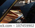 Piano is inside, strings closeup, nobody, outdoor 107459902
