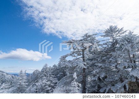 雪中的富士見台高原 107460143