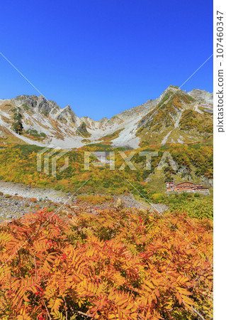 Karasawa curl in autumn, the best time to see the autumn leaves 107460347