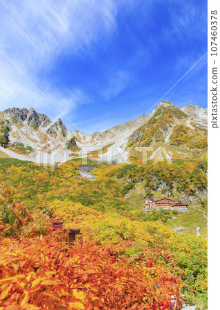 秋天的唐澤捲曲,賞紅葉的最佳時期 秋天的唐澤捲曲,賞紅葉的最佳時期 107460378