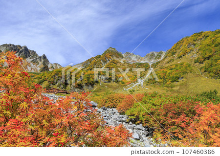 Karasawa curl in autumn, the best time to see the autumn leaves 107460386