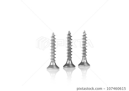 macro screw of silver color on a white background macro screw of silver color on a white background 107460615