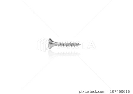 macro screw of silver color on a white background macro screw of silver color on a white background 107460616