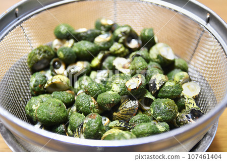 煮什塔卡 107461404