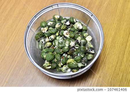 煮什塔卡 107461406