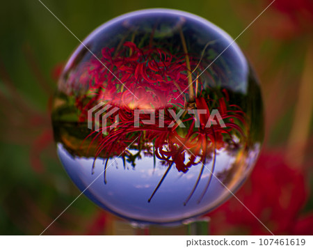 Manjusha reflected in crystal Manjusha reflected in crystal 107461619