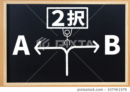 2 個選擇 107461976