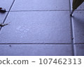 Expressing the atmosphere of a rainy day with an umbrella and footprints 107462313