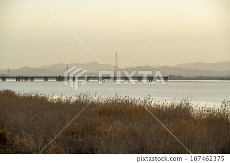 Bicycle path along Yeongsangang River 107462375