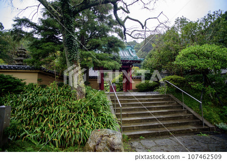 Kamakura October Mitsunoriji Temple 17 107462509