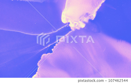 Abstract Fluid Illustration. Pink Watercolor 107462544