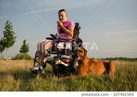 Smart service dog lying near the young man in wheelchair, who using a smartphone in the park. 107462569