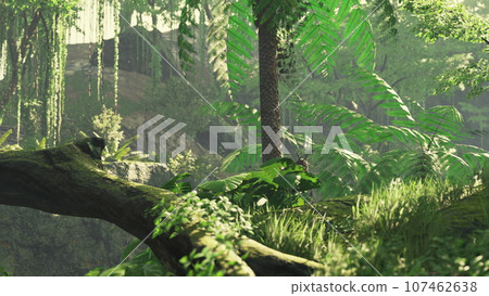 Sunbeam shine through the green forest Sunbeam shine through the green forest 107462638