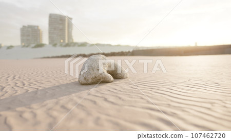 old white coral on sand beach old white coral on sand beach 107462720