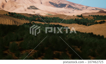 sand desert with some grass 107462725