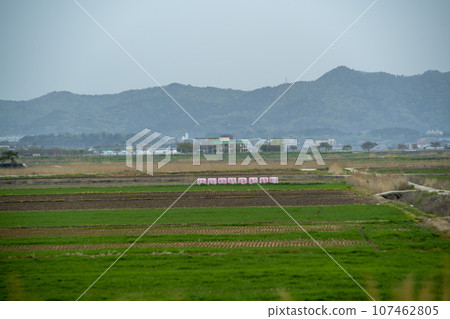 Bicycle path along Yeongsangang River 107462805