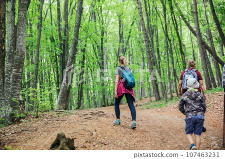 people walking in the woods hiking journey uphill people walking in the woods hiking journey uphill 107463231