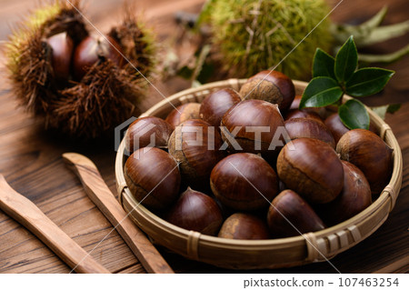Autumn taste Chestnut Chestnut Chestnut Raw chestnut (old board background) Nut Igaguri Chestnut fruit Autumn taste Chestnut Chestnut Chestnut Raw chestnut (old board background) Nut Igaguri Chestnut fruit 107463254