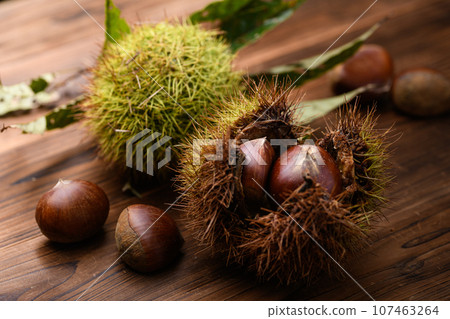 秋天的味道 栗子 栗子 板栗 生板栗（老闆背景） 堅果 伊賀栗 板栗果 107463264