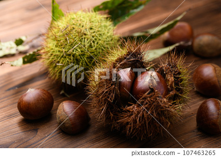 Autumn taste Chestnut Chestnut Chestnut Raw chestnut (old board background) Nut Igaguri Chestnut fruit 107463265