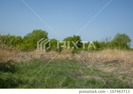 Bicycle path along Yeongsangang River Bicycle path along Yeongsangang River 107463713