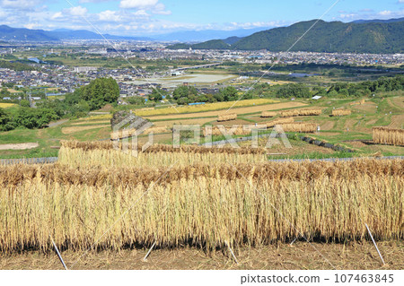 Obasute Tanada 秋景 Obasute Tanada 秋景 107463845