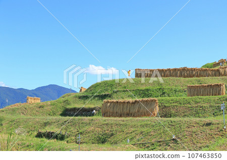 Obasute Tanada Autumn View 107463850