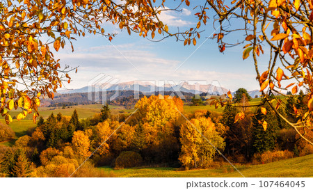 View of autumn landscape framed by colorful foliage at sunset. 107464045