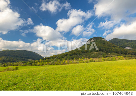 Summer rural landscape with green grass and hills at sunny day. 107464048