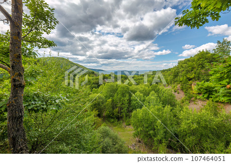 Summer rural landscape with green forest at sunny day. 107464051