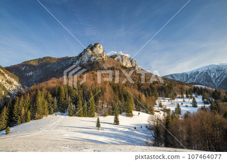Winter mountain snowy landscape. Winter mountain snowy landscape. 107464077