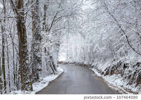 A road through a winter landscape with snow-covered trees. 107464080
