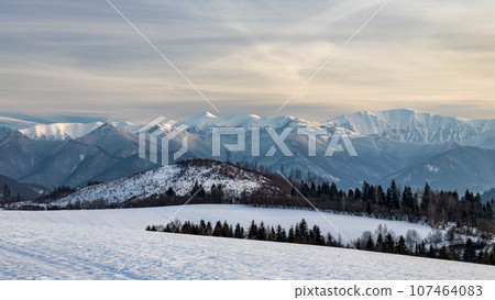 Winter snowy landscape with mountains in background. 107464083