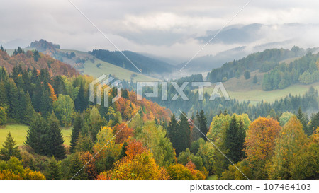 Autumn foggy landscape of hills with colorful trees. Autumn foggy landscape of hills with colorful trees. 107464103