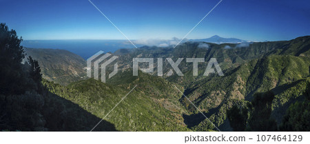 Panoramic view over lush green landscape of national park Garajonay on La Gomera. In the background the island Tenerife with the Volcano Pico de Teide. Canary Islands, Spain. Blue sky, copy space. 107464129