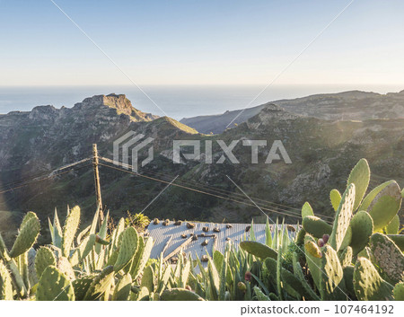 View over roof with opuntia and agave cacti on sharp cliffs of rocky north coast of La Gomera island. Ocean and arid mountain in soft backlight. Canary Islands, Spain. View over roof with opuntia and agave cacti on sharp cliffs of rocky north coast of La Gomera island. Ocean and arid mountain in soft backlight. Canary Islands, Spain. 107464192