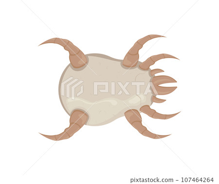 White dust mite vector illustration. Microscopic dangerous insect White dust mite vector illustration. Microscopic dangerous insect 107464264