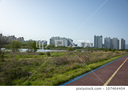 Bicycle path along Yeongsangang River 107464404