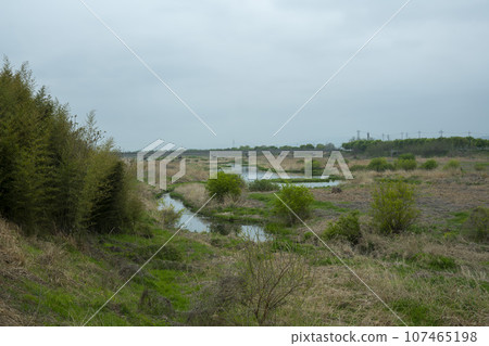Bicycle path along Yeongsangang River Bicycle path along Yeongsangang River 107465198