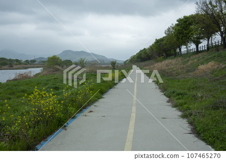 Bicycle path along Yeongsangang River Bicycle path along Yeongsangang River 107465270