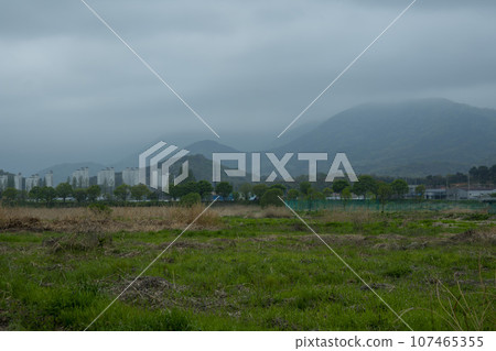 Bicycle path along Yeongsangang River 107465355