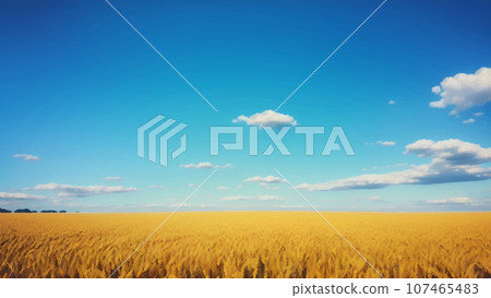Wheat field shining golden color 107465483